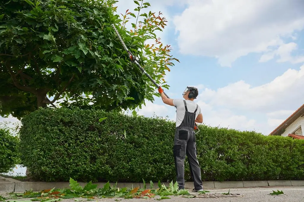 Tree Trimming - Back view of professional gardener in overalls, protective mask and gloves pruning trees outdoors. Strong Caucasian man using petrol hedge trimmer for work at garden.