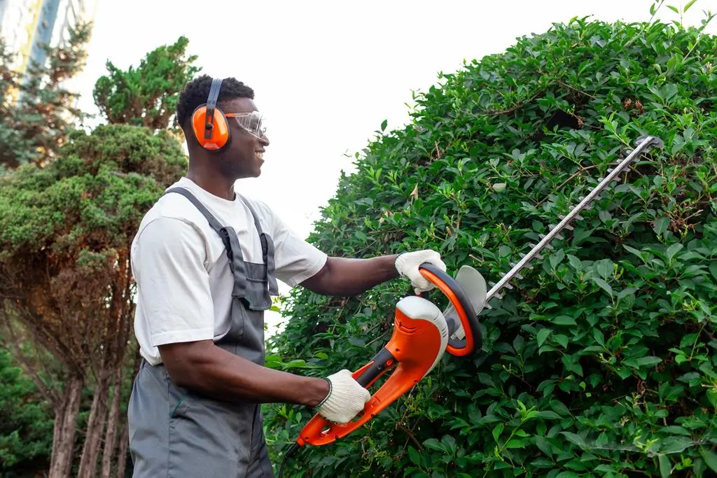 arborist trims tree with hedge trimmer and ear protection